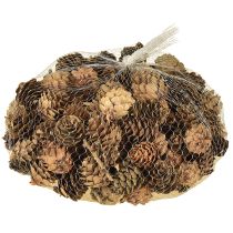 Artikel Dennenappels natuurlijke kleine dennenappels decoratie in net 2,5-3,5cm 300g