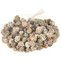 Artikel Witte dennenappels, kleine dennenappeldecoratie in een net, 2,5-3,5 cm, 500 g