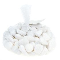 Artikel Kiezels in het net Wit 2,5 cm - 4 cm 1 kg