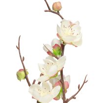 Artikel Kersenbloesem Decoratie Tak Kunsttak Witte Bloemen 96cm 2st