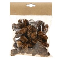 Artikel Kleine hemlock kegels decoratieve natuurkegels Advent 3-4cm 100g