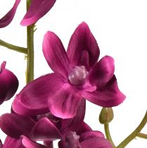 Artikel Kleine orchidee Phalaenopsis kunstbloem donkerpaars 30cm