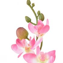 Artikel Kleine Orchidee Phalaenopsis Kunstbloem Roze 30cm