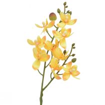 Artikel Kleine orchidee Phalaenopsis kunstgeel 30cm