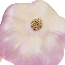 Artikel Kunstgroentendecoratie knoflook roze, wit Ø6,5cm 2 st