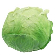 Witte kool Ø16cm