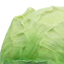 Witte kool Ø16cm
