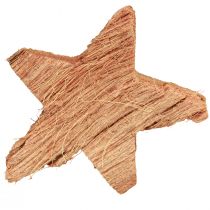Artikel Kokossterdecoratie naturel Kerstdecoratie naturel 5,5-7cm 30 st