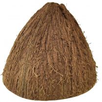Artikel Kokosschaal decoratie naturel halve kokosnoten Ø7-9cm 5st