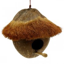 Artikel Kokosnoot als nestkastje, vogelhuisje om op te hangen, kokos decoratie Ø16cm L46cm
