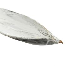Artikel Kokosnoot kokosnootblad gewassen wit 60cm