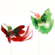 Artikel Kolibrie decoratie op stok turkoois bordeaux 13-15cmx9-10cm 6 stuks