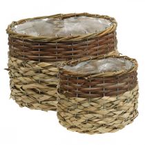 Artikel Rieten Mand Naturel Rieten Plantenschaal Naturel L30/22cm H20/17cm Set van 2