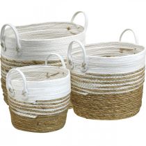 Plantmand, bestek met handvatten, organiser wit, naturel Ø32/28/23cm H30/25/19cm set van 3