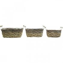Artikel Plantenmand met handvatten, vierkante mandkom, natuurlijke plantenbak voor planten shabby chic gewassen wit L30/25.5/21 cm H12/11/10 cm set van 3