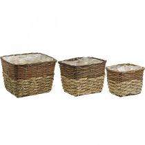 Artikel Plantenmand, naturel bak voor beplanting, vierkante bloemschaal naturel L29.5/26/23cm H21/19/16cm set van 3