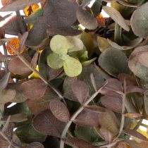 Artikel Kunstmatige eucalyptuskrans, herfstdecoratie, rond, 45 cm