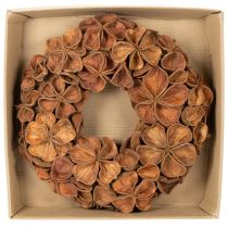Artikel Krans van gedroogde lotusbloemen, decoratieve deurkrans, 35 cm
