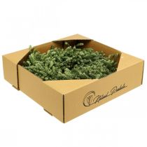 Artikel Kerstkrans decoratie groene gedroogde bloemenkrans deurkrans vlaskruid feestelijk Ø34cm