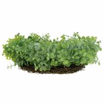 Artikel Krans eucalyptus groen Ø36cm