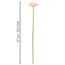 Artikel Kunstmatige gerbera's, abrikooskleur, 47 cm, 6 stuks