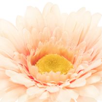 Artikel Kunstmatige gerbera's, abrikooskleur, 47 cm, 6 stuks