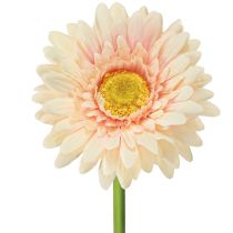 Artikel Kunstbloemen Gerbera Abrikoos 47cm