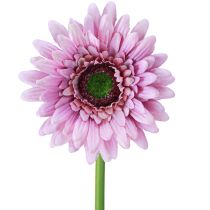 Artikel Kunstbloemen Gerberatuin Kunstbloemen Paars 47cm