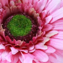 Artikel Kunstbloemen Gerberatuin Kunstbloemen Roze 47cm
