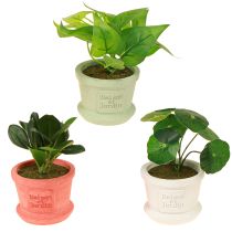 Artikel Groene kunstplanten mini planten in pot 15cm 3st