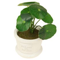 Artikel Groene kunstplanten mini planten in pot 15cm 3st