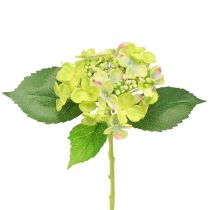 Artikel Kunsthortensia&#39;s Groene Bloemen Bladeren L43cm 2st