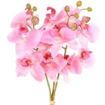 Artikel Kunstmatige Orchideeën Roze Kunstbloemen Als Echt 56cm 3 Stuks