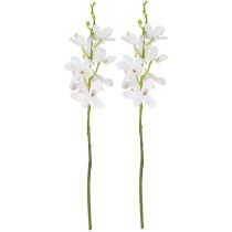 Artikel Kunstmatige orchideeën witte bloesem Ø3,5–5 cm L38 cm 2 stuks