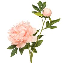 Artikel Kunstmatige Pioenrozen Roze Paeonia Zalm L60cm 2st