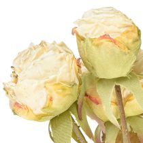 Artikel Kunstrozen verwelkt Drylook 9 bloemblaadjes creme 69cm
