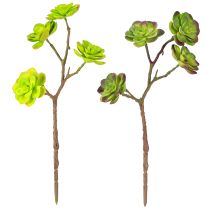 Artikel Kunstmatige vetplanten met stengel groen paars assorti 32cm 2st