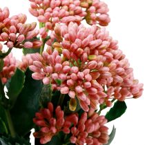 Artikel Kunstvetkip Sedum Muurpeper bloeiend roze 47cm 3st