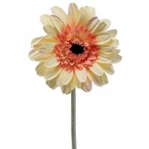 Artikel Kunstbloem gerbera kunstbloem abrikoos Ø11cm L50cm