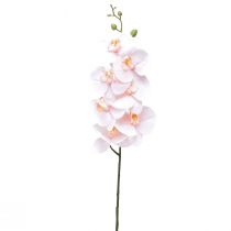 Kunstorchidee Roze Phalaenopsis Real Touch 83cm