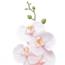 Artikel Kunstorchidee Roze Phalaenopsis Real Touch 83cm