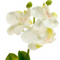 Kunst orchideeën Kunstbloem orchidee wit 20cm