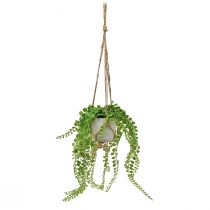 Artikel Kunstpotplanten succulente hangmand 46cm