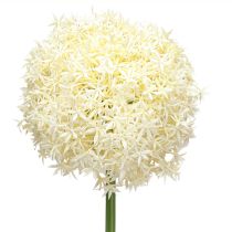 Artikel Kunst Allium Crème Witte Sier Ui Ø18cm L90cm