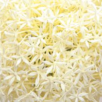Artikel Kunst Allium Crème Witte Sier Ui Ø18cm L90cm