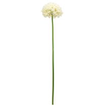 Artikel Kunst Allium Crème Witte Sier Ui Ø18cm L90cm