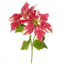 Artikel Kunstkerstster in rode crème L35cm 6st 2 bos