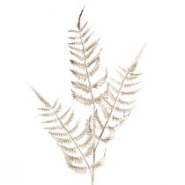 Artikel Kunstdecoratievaren champagne metallic L85cm 2st