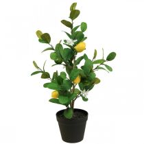 Artikel Kunstcitroenboom in pot, 65cm, decoratieve plant, kunstplant