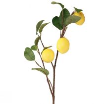 Artikel Kunstcitroentak decoratieve tak met 3 gele citroenen 65cm